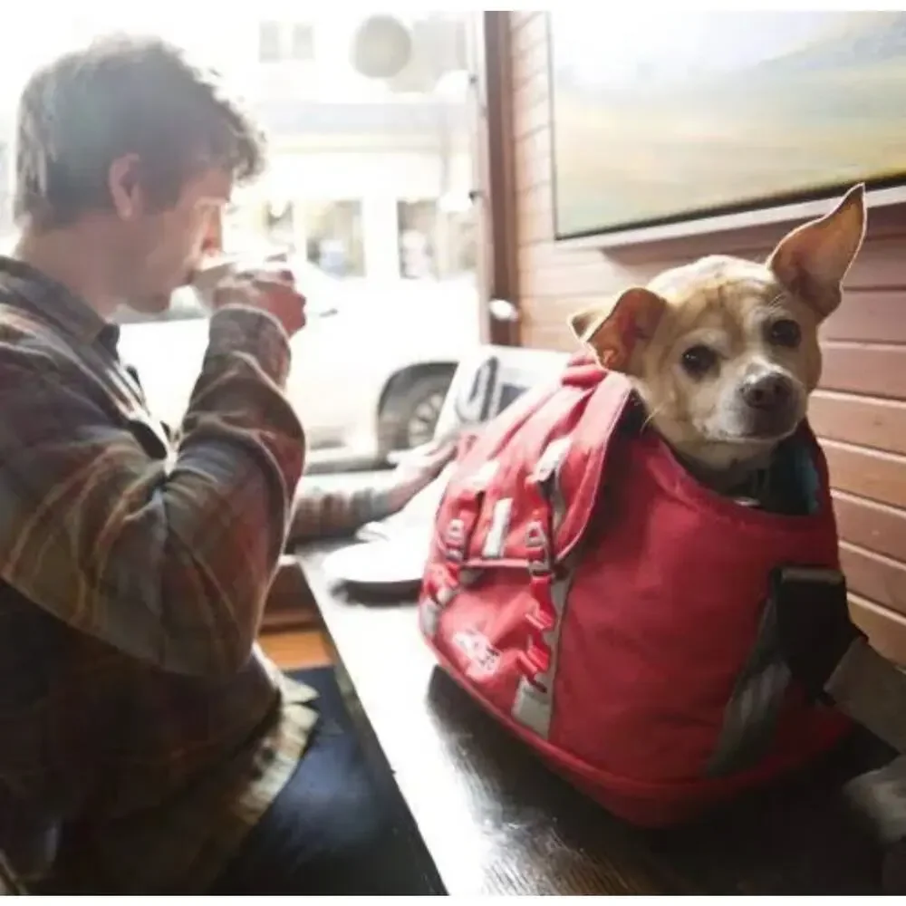 kurgo k9 Courier dog carrier Red Pet Carrier/Booster Travel Bag NO STRAPS